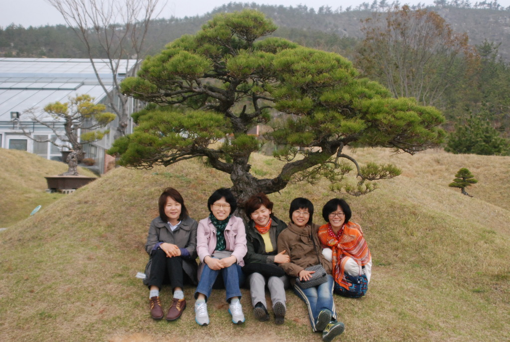 2013년 노회여행(압해도-목포)